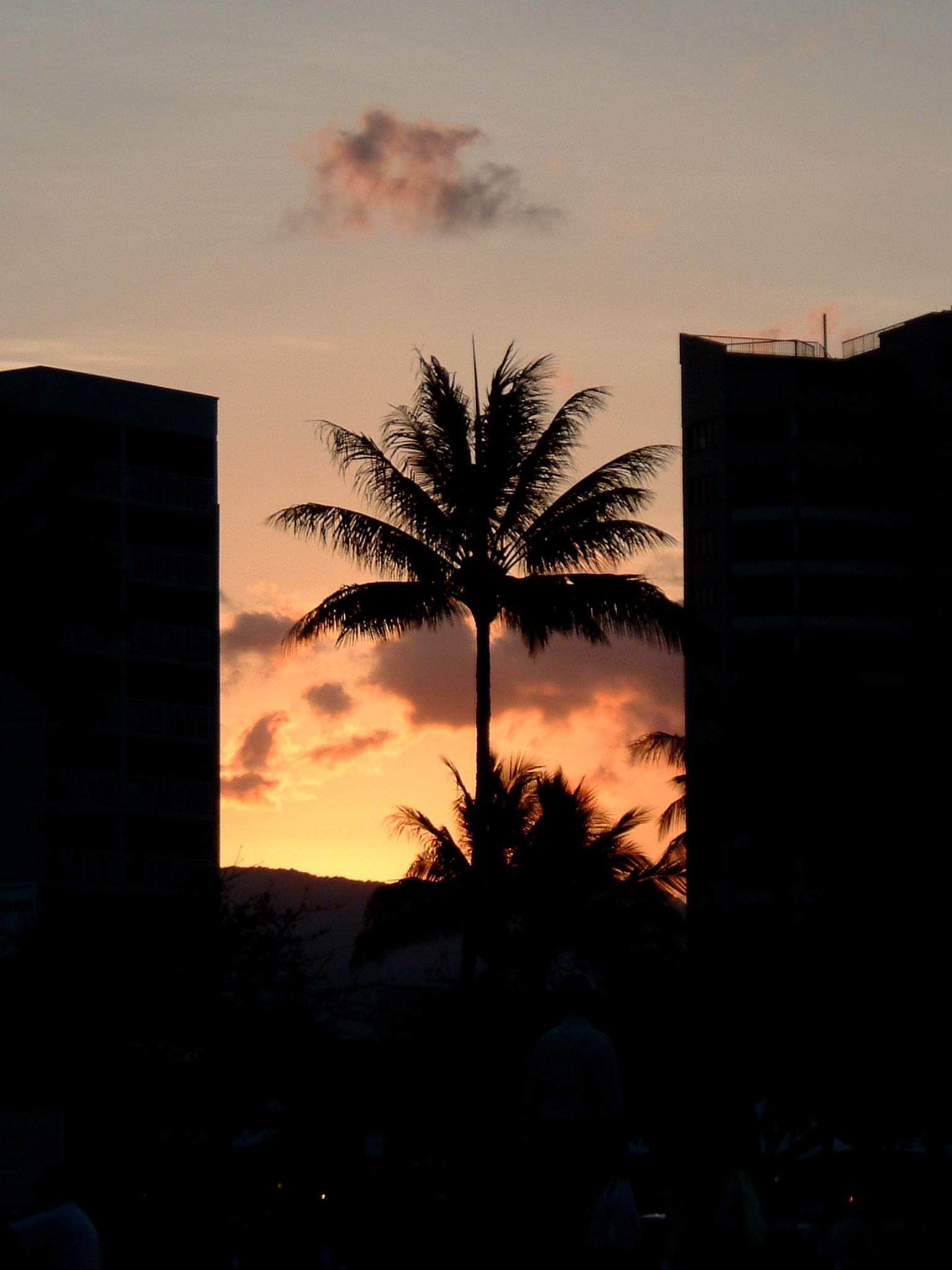 dscf0929