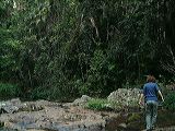 dscf0858