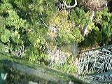 dscf0864
