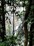 dscf0874