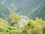dscf0891
