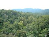 dscf0892