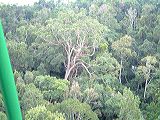 dscf0897