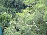 dscf0902