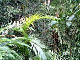 dscf0905