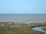 dscf0922
