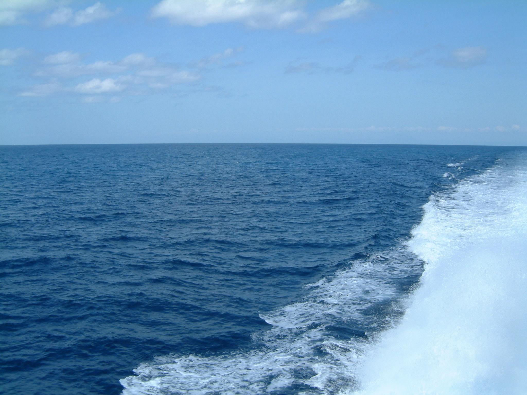 dscf0947
