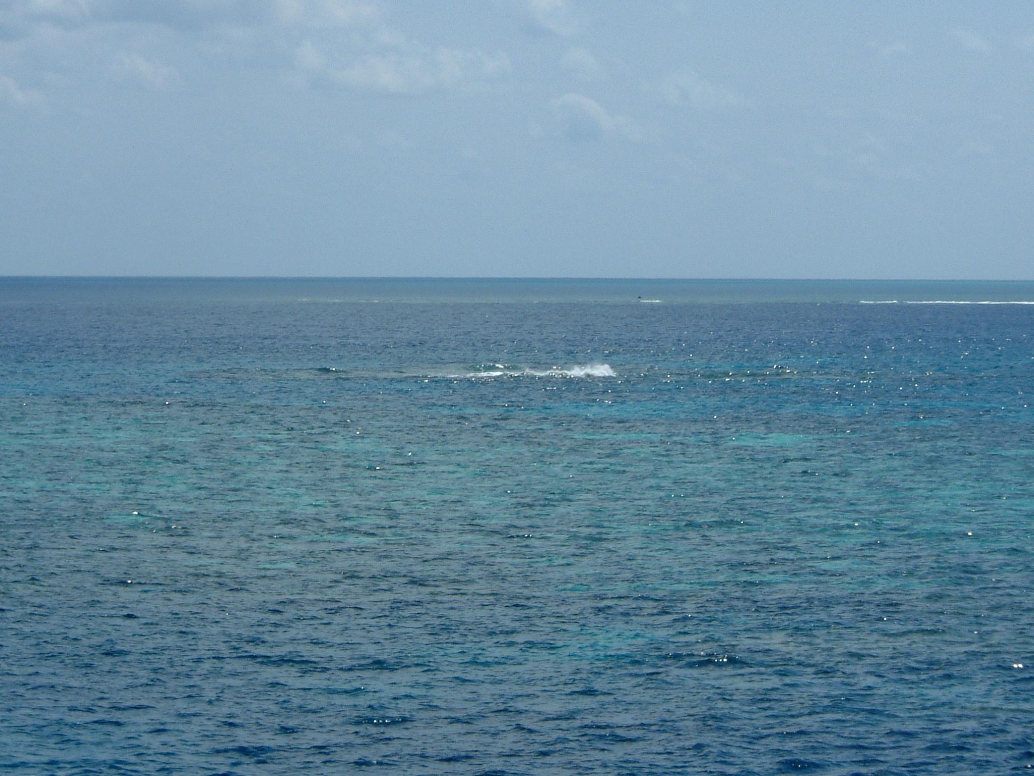 dscf0950