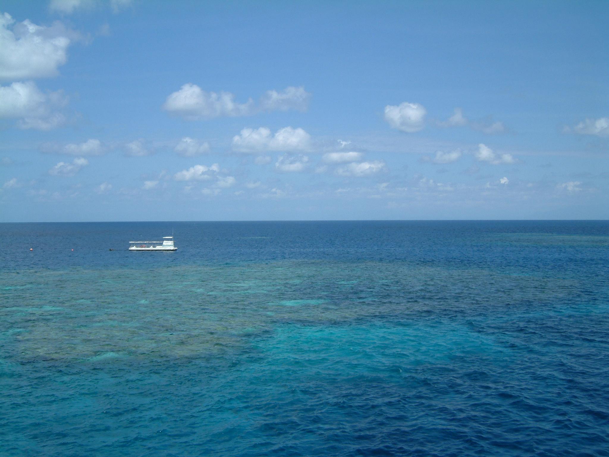 dscf0951