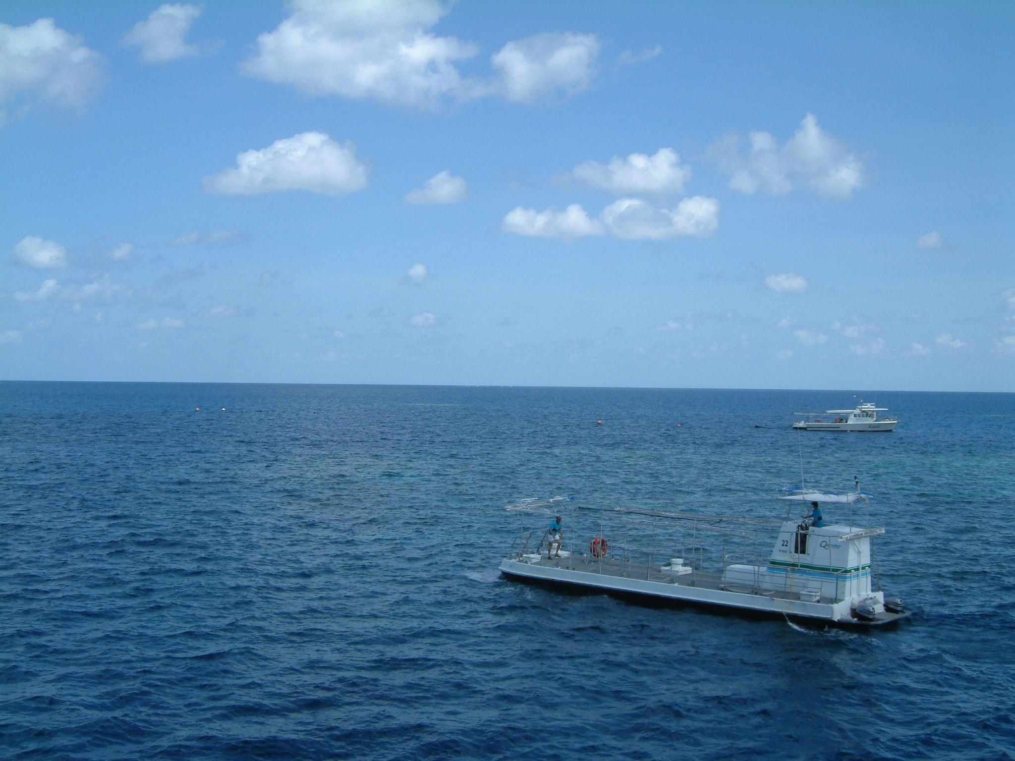 dscf0956