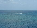 dscf0950