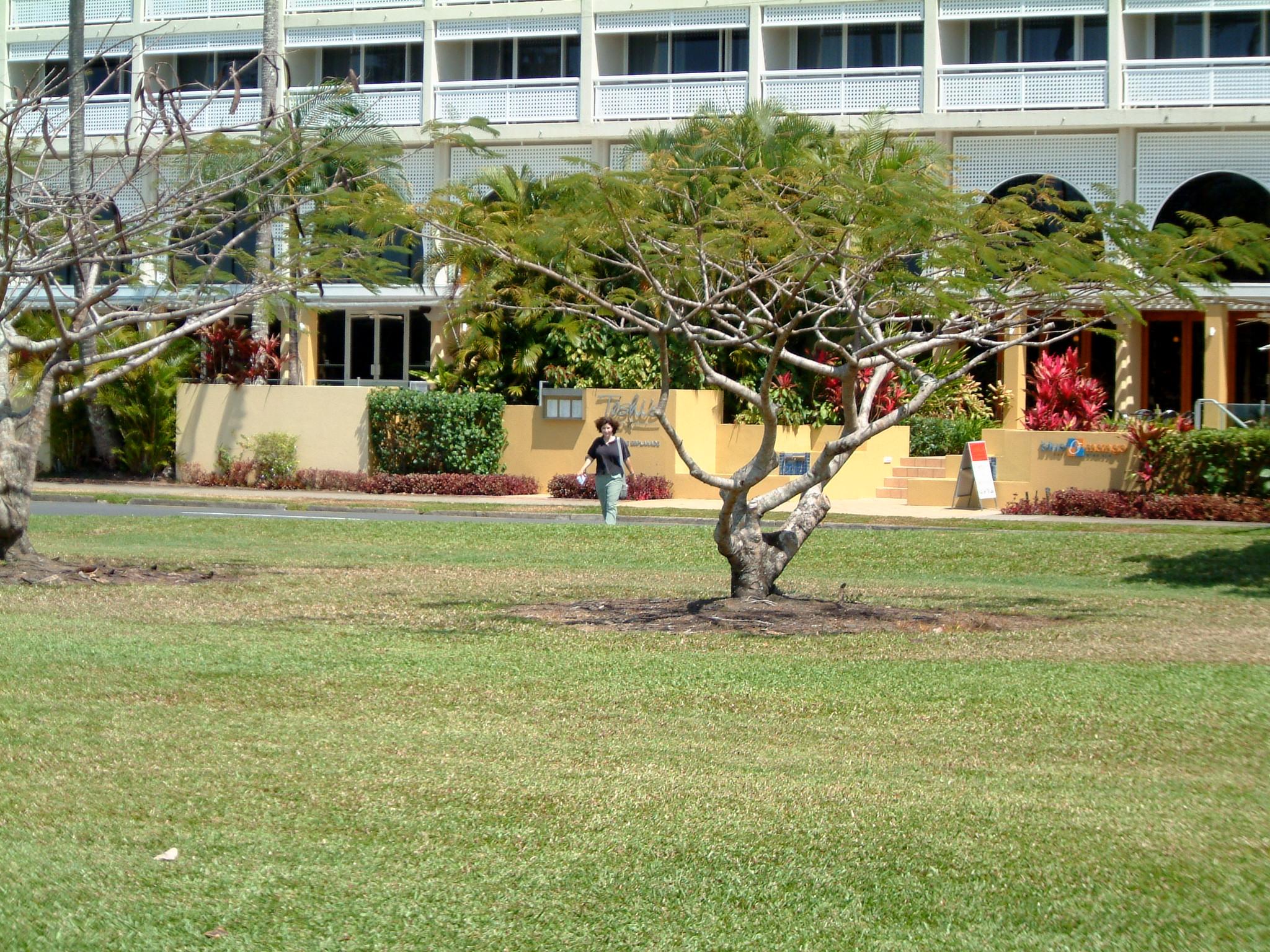 dscf0974