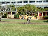 dscf0974