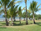 dscf0982