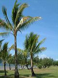 dscf0983