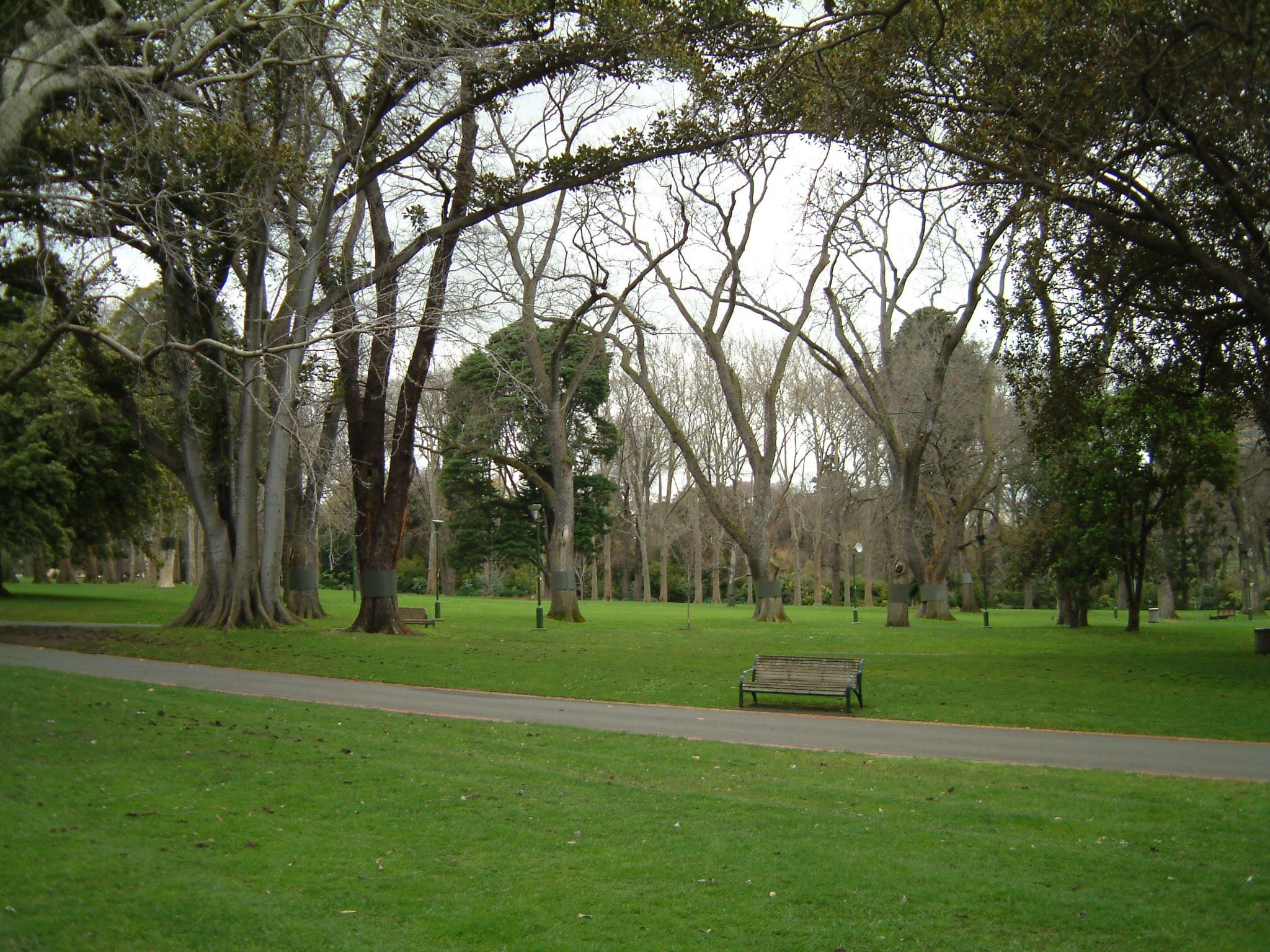 dscf1036