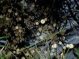 dscf1024