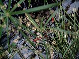 dscf1025