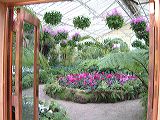 dscf1031