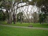 dscf1036