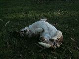 dscf1272