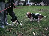 dscf1275