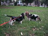 dscf1276