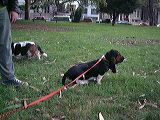 dscf1277