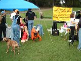 dscf1348