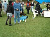 dscf1350