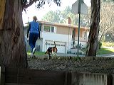 dscf1590