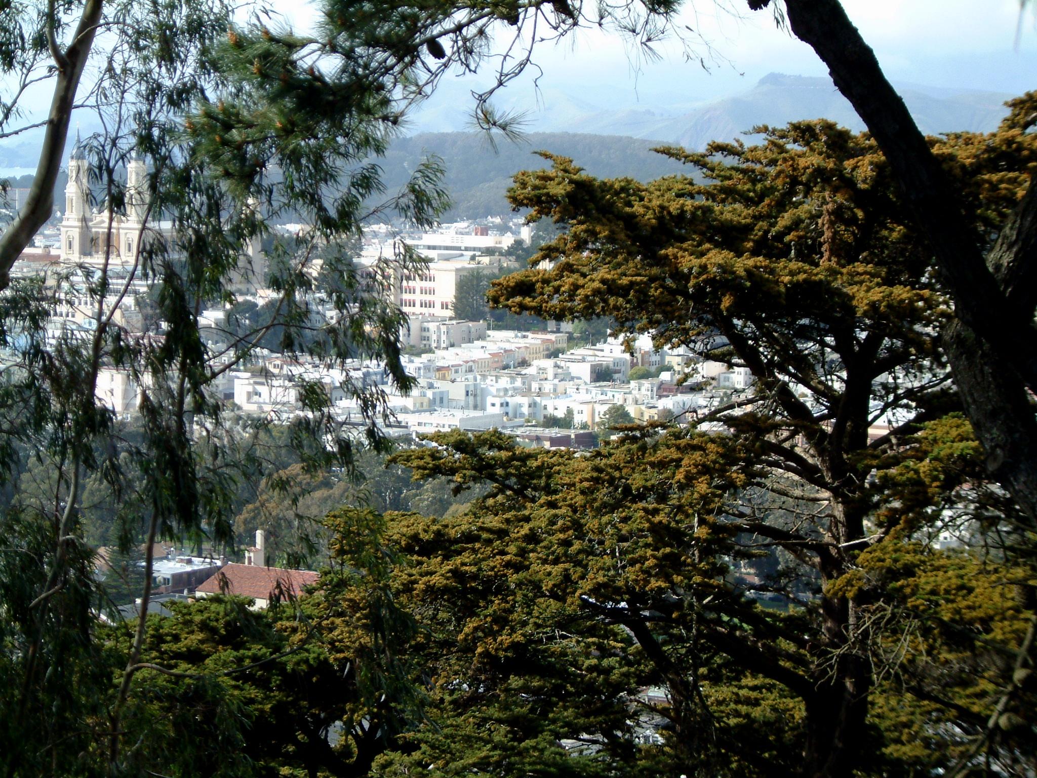 dscf1709
