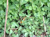 dscf1716