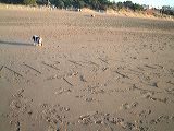 dscf1735