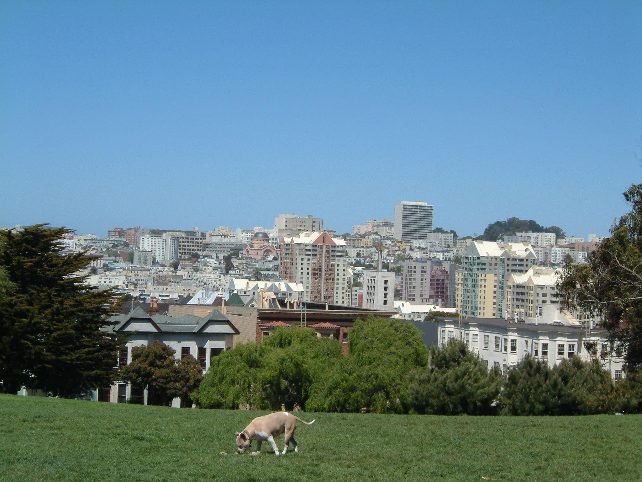 dscf1811