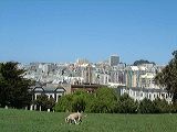 dscf1811