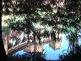 dscf1865