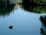 dscf1867