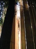 dscf1871