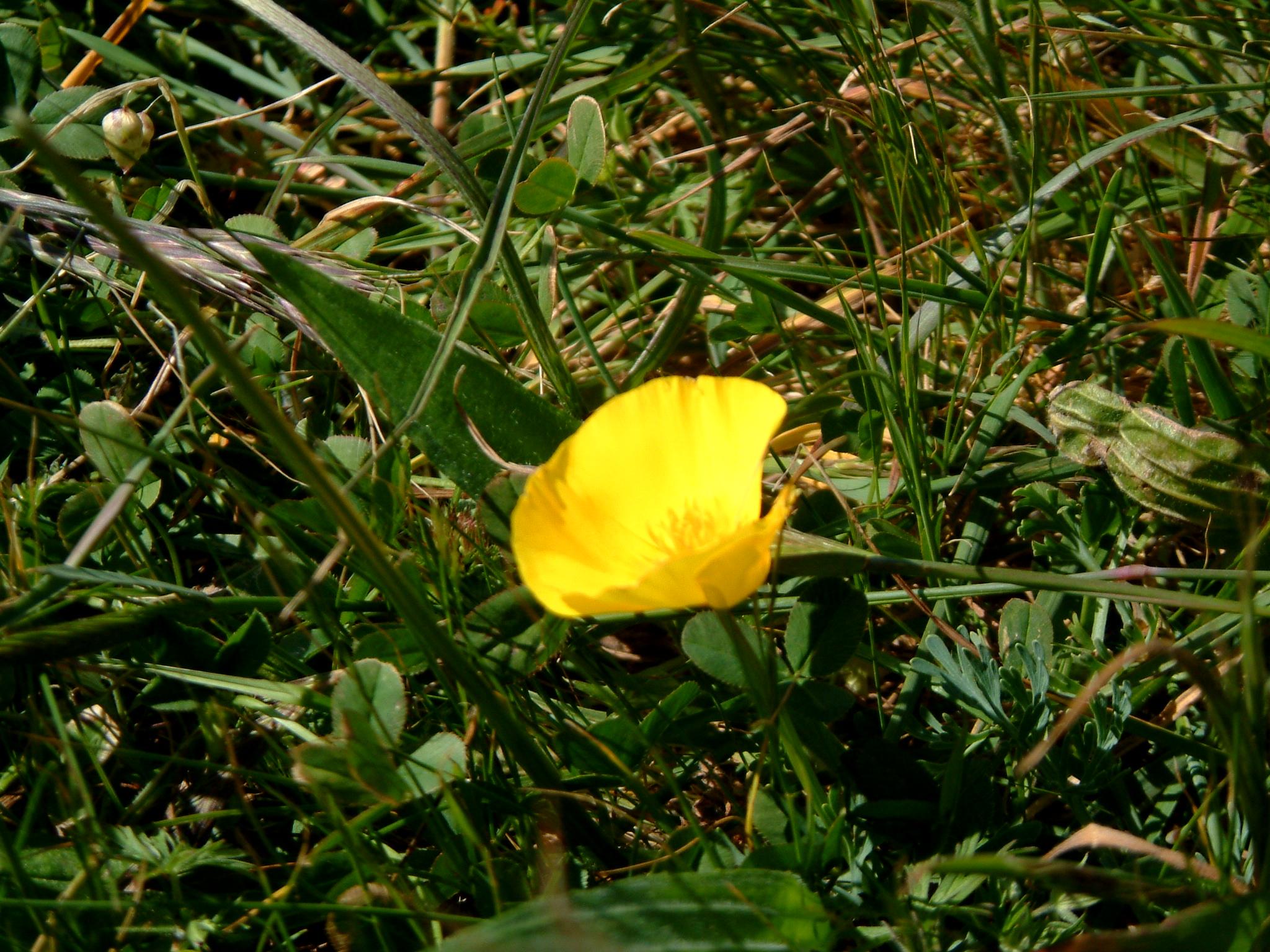 dscf1930