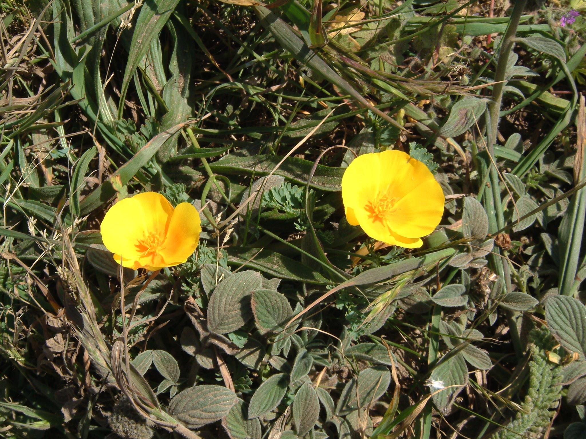 dscf1961