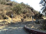 dsc00100