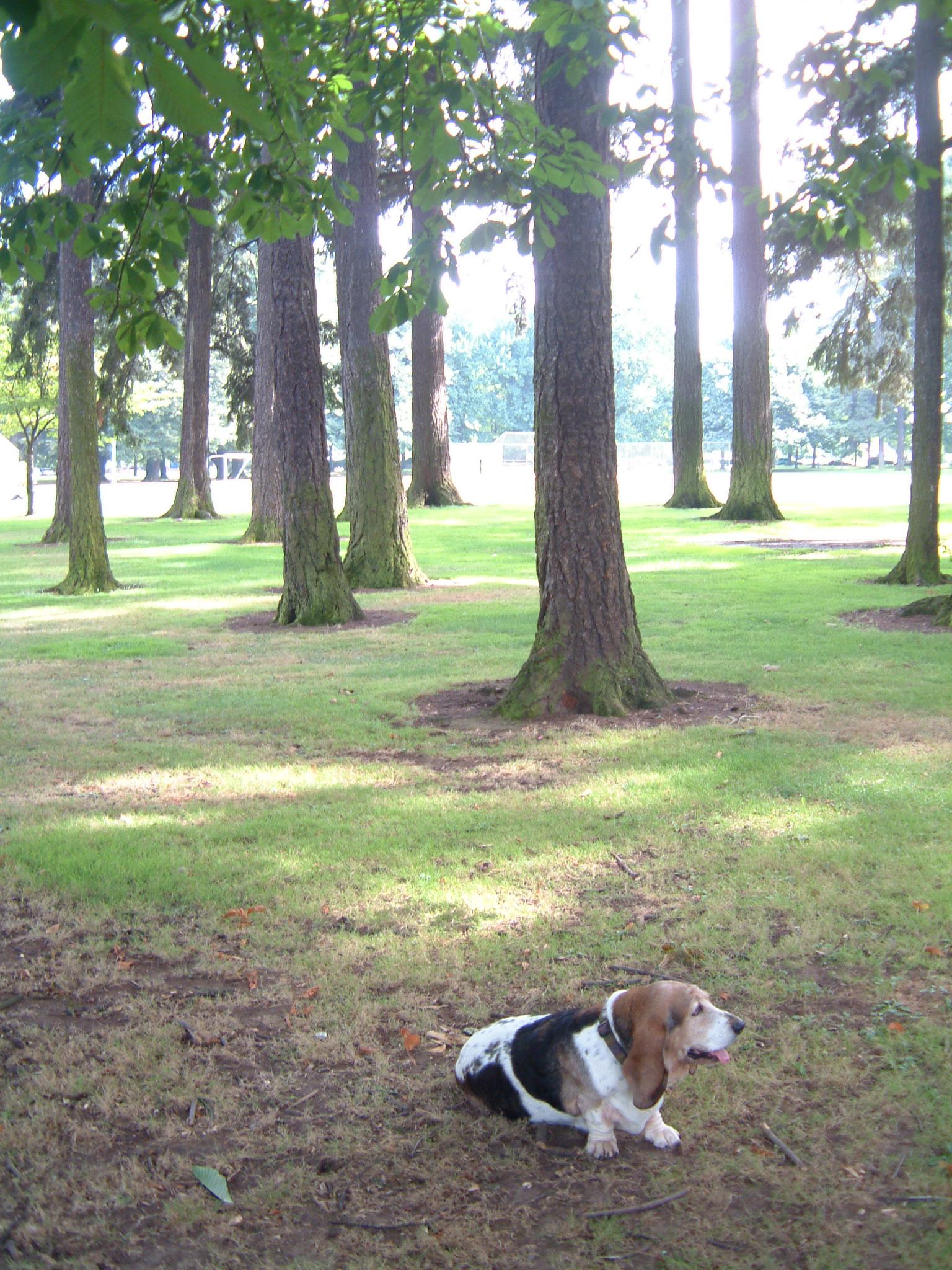 dscf2181