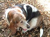 dscf2172