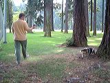 dscf2175