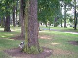 dscf2177
