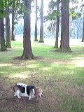 dscf2180
