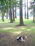 dscf2181