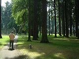 dscf2182