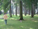 dscf2185